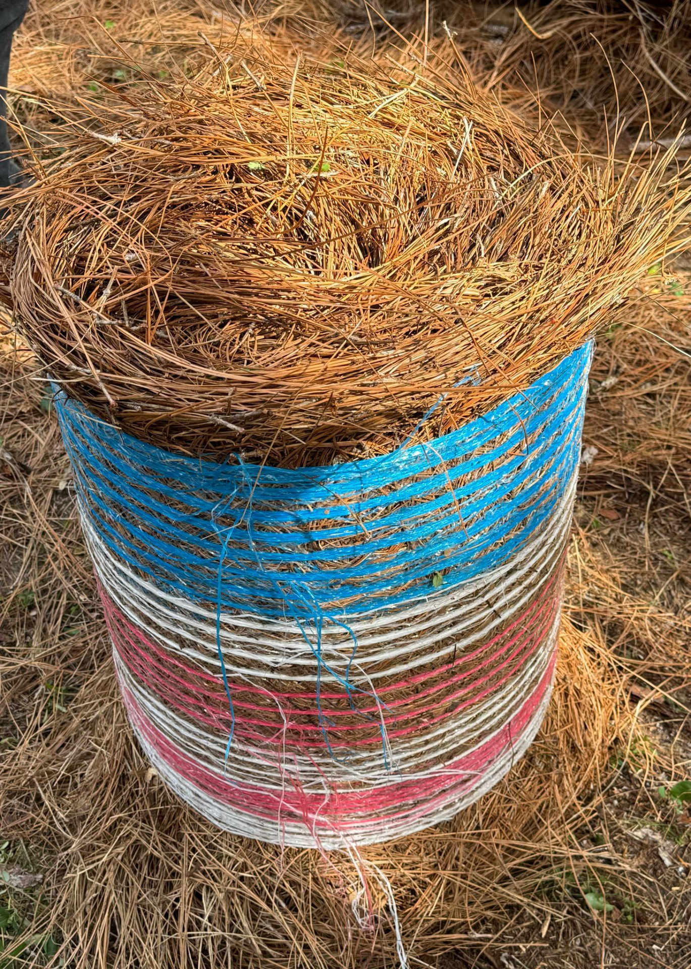 Premier Pinestraw Rolls