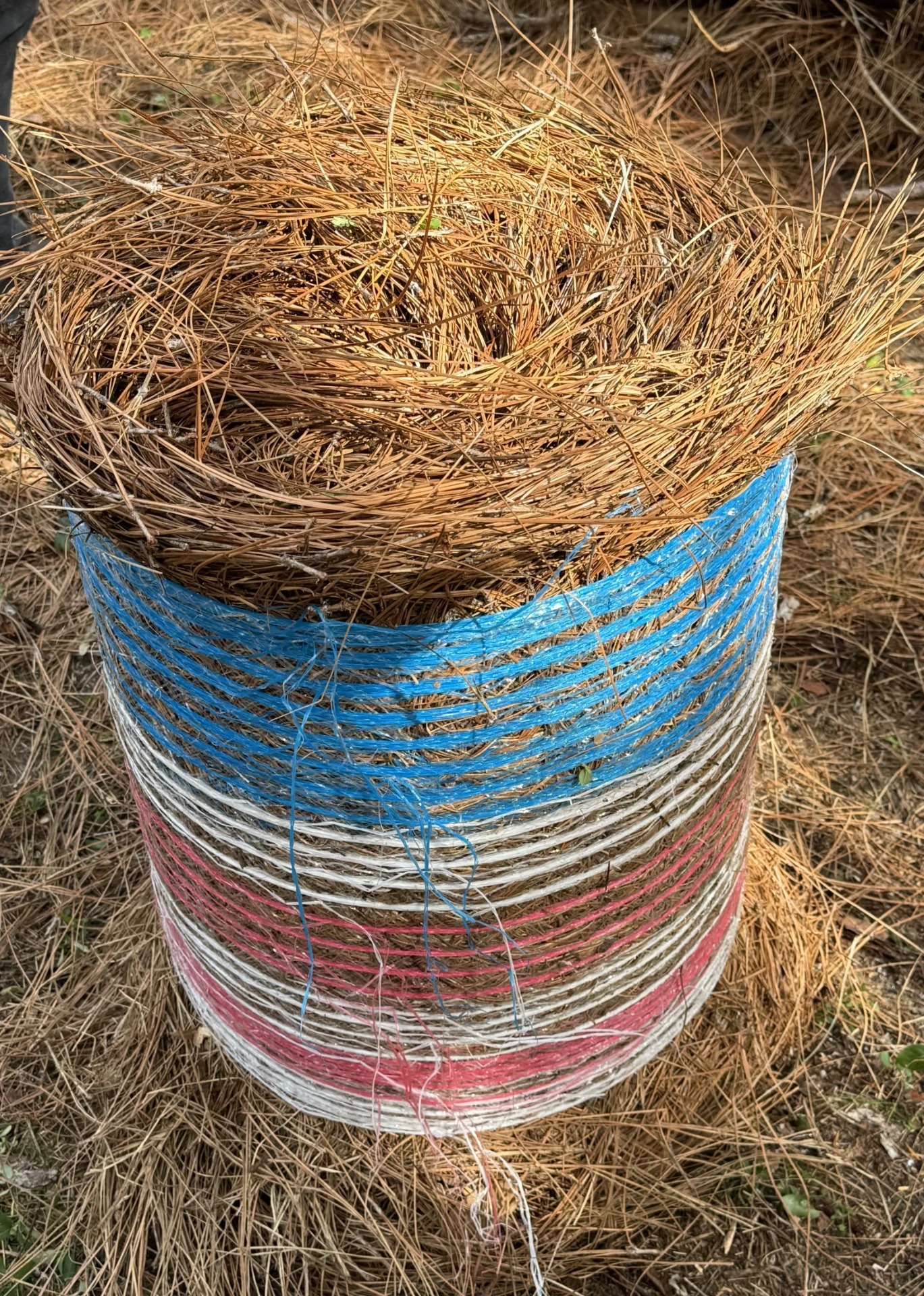 Standard pinestraw roll, top view