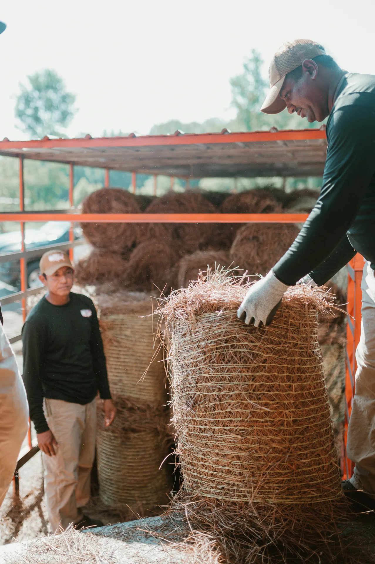 Pinestraw America crew stacking bales together