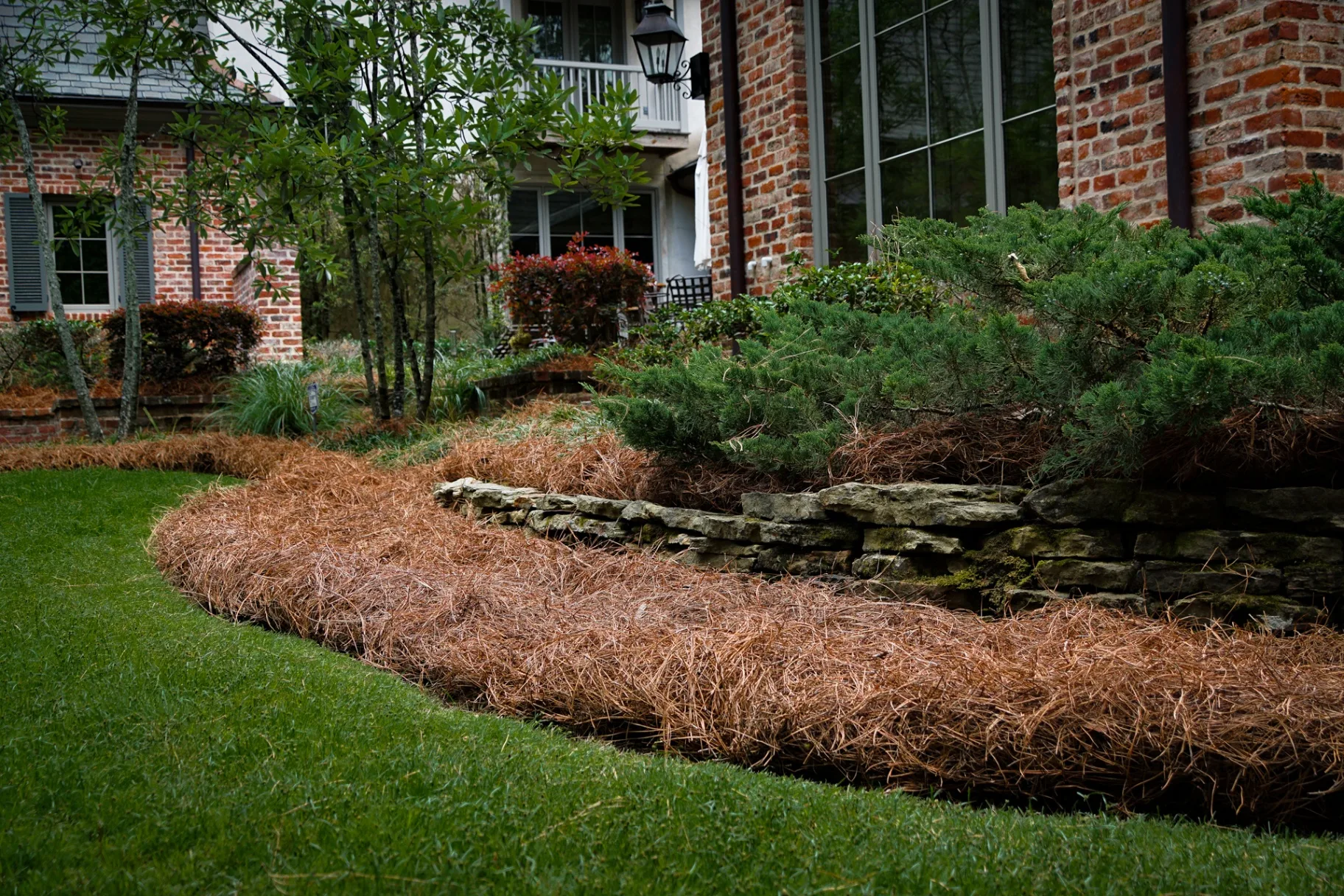 Freshly installed longleaf pine straw along a Southern brick home