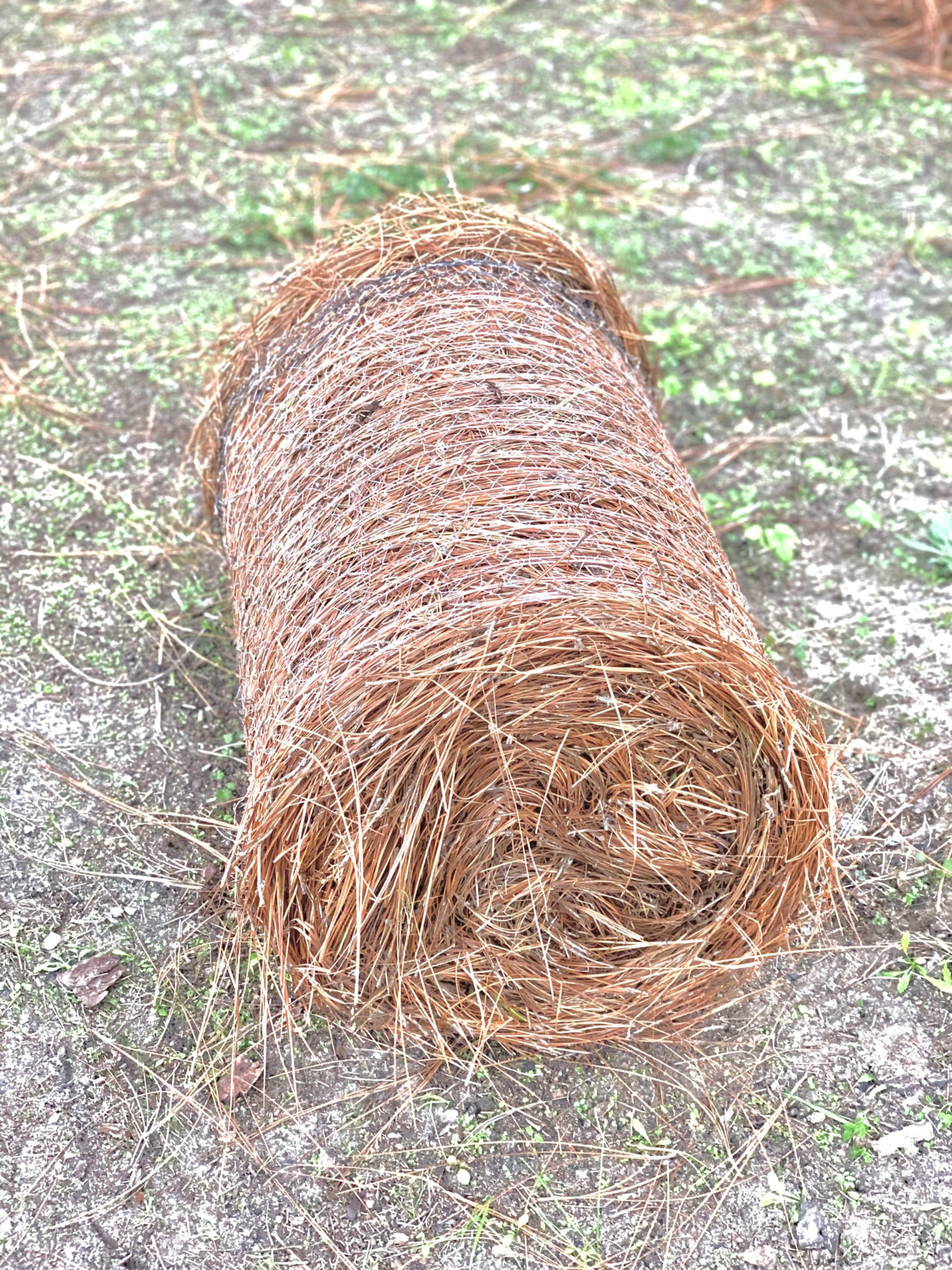 Standard pinestraw roll