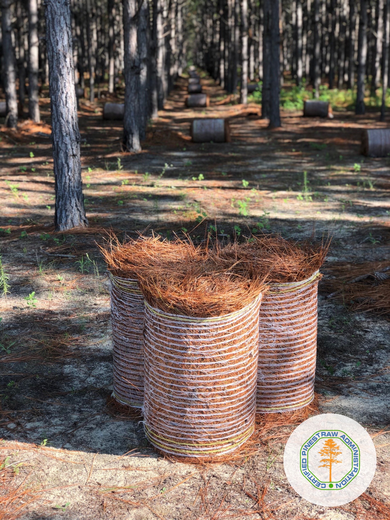 Premier Pinestraw Rolls harvested in central Mississippi